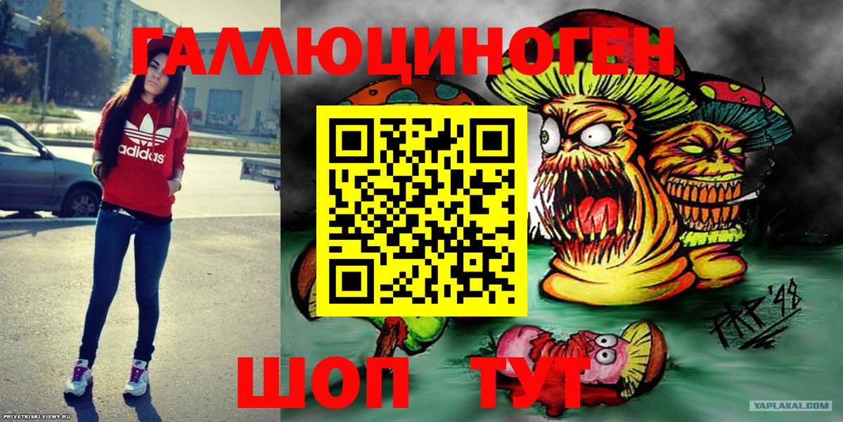 Галлюциногенные грибы Psilocybe  Вход с VPN  наркотики  Топки 
